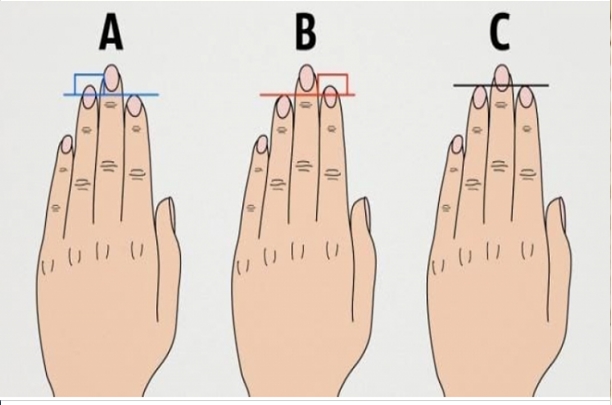 Test: Tu personalidad según la forma de tus manosMis Bellos Momentos